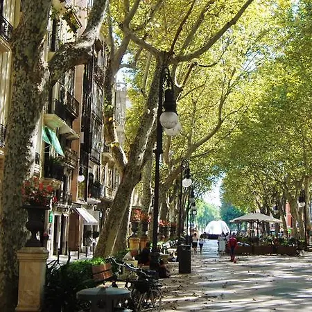 Borne Ti By Mallorcasuites Palma de Mallorca